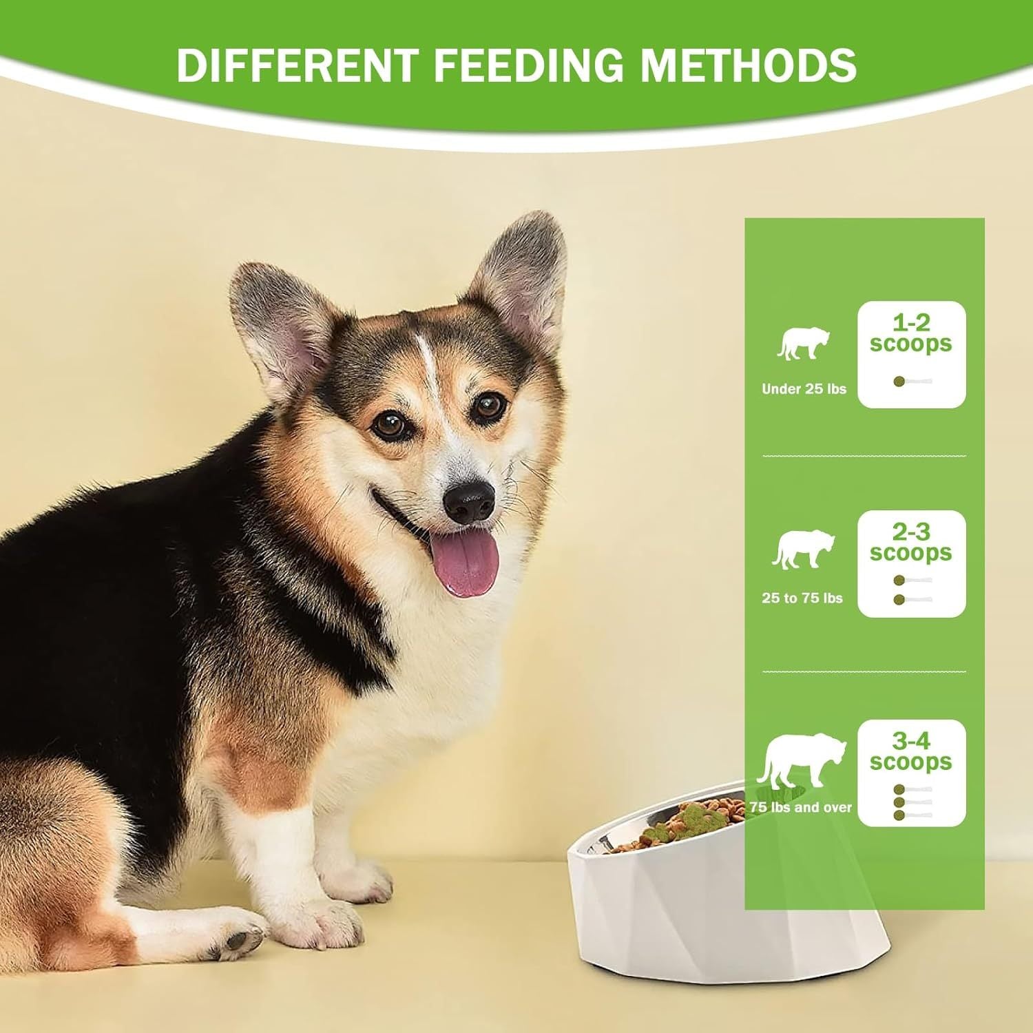 Polvo Dental 3 en 1 para Mascotas – Aliento Fresco, Encías Sanas y Dientes Fuertes