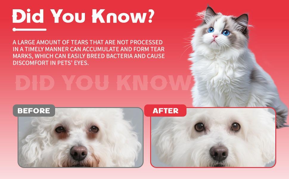 Polvo Quitamanchas de Lágrimas para Mascotas – Fórmula Natural para Ojos Limpios y Brillantes